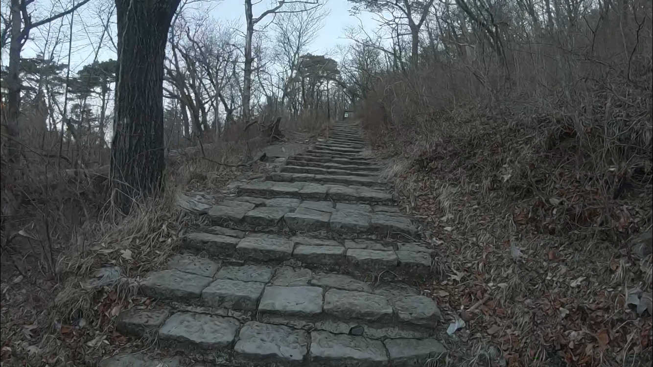 f:id:r24japan:20200219104546p:image f:id:r24japan:20200219104546p:image