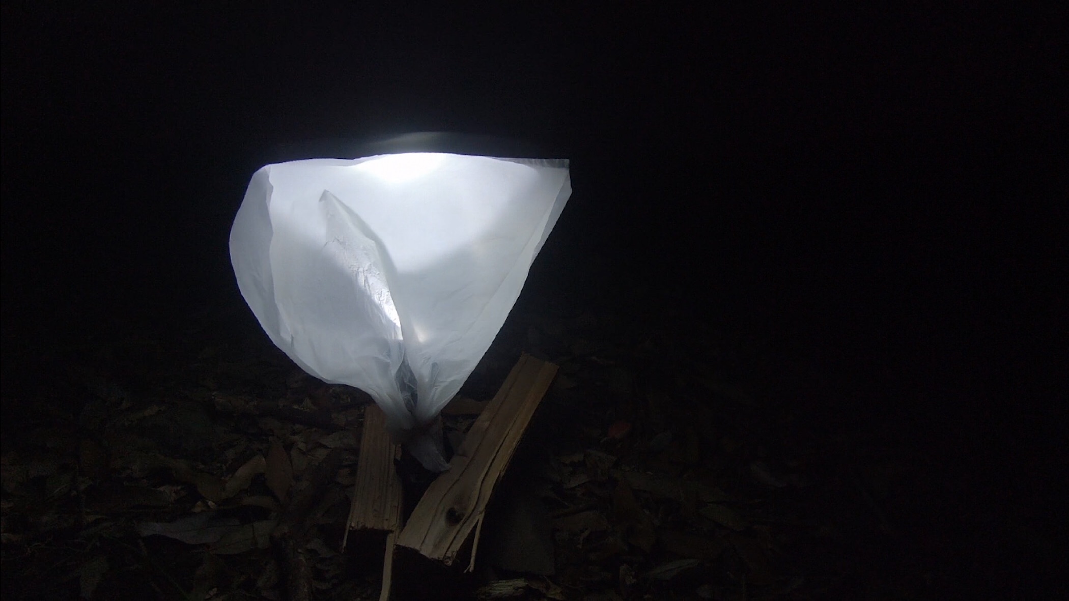 f:id:r24japan:20200326071634j:image f:id:r24japan:20200326071634j:image