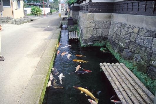 f:id:r24japan:20200503204255j:image f:id:r24japan:20200503204255j:image