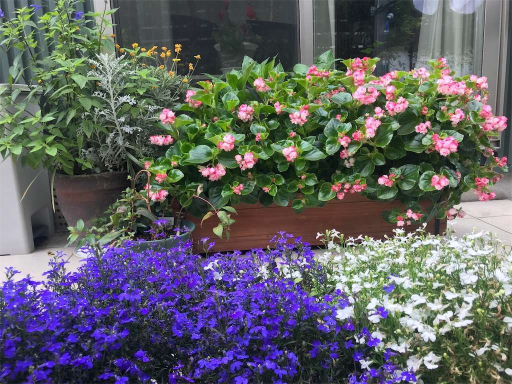 f:id:r2okarain:20190602133032j:image