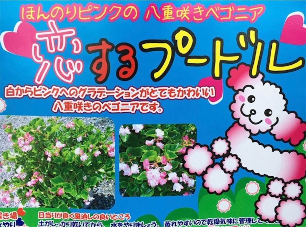 f:id:r2okarain:20190707141330j:image