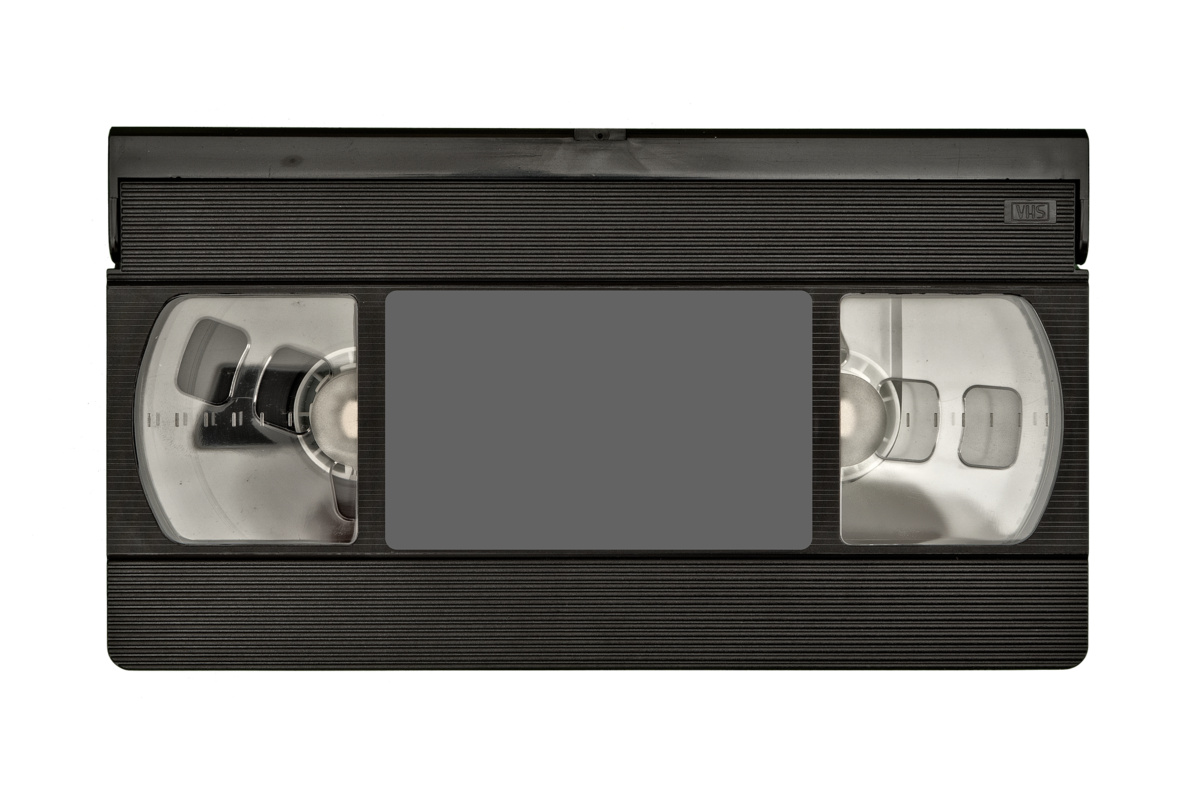 ハマグリとは 動植物の人気 最新記事を集めました はてな