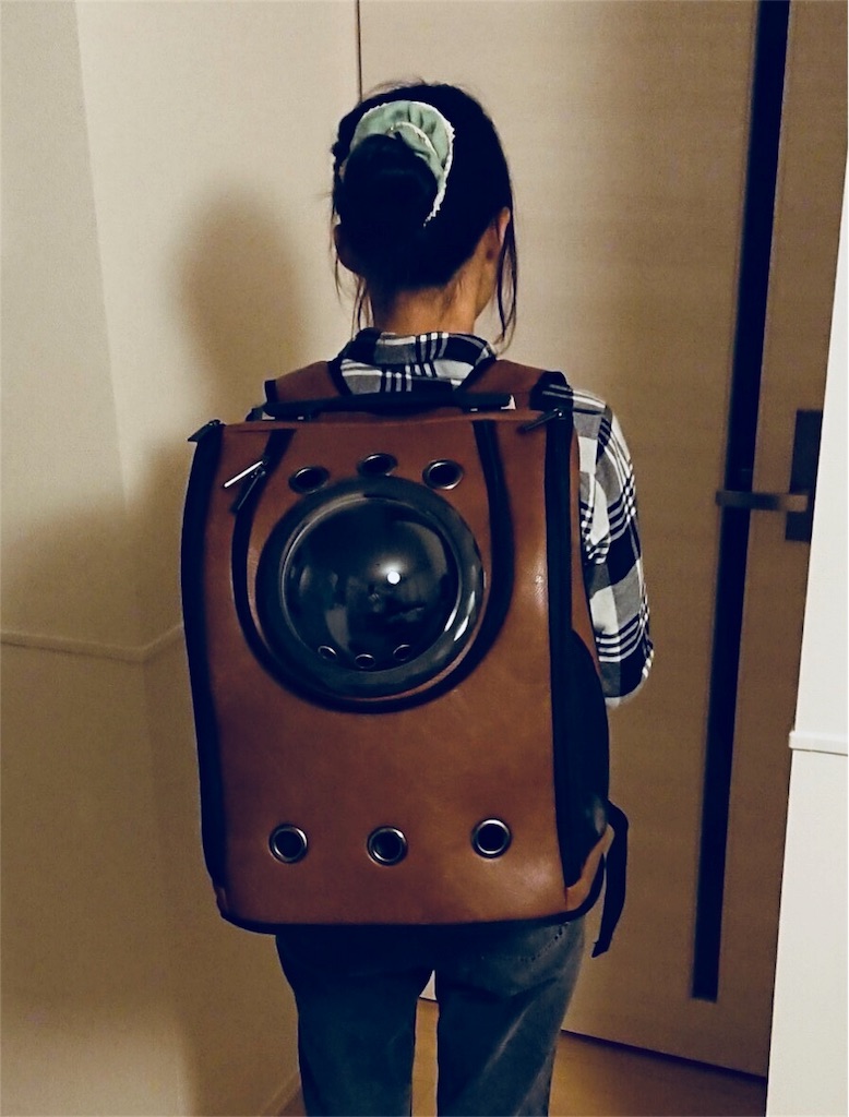 f:id:r_l_m:20181006140119j:image