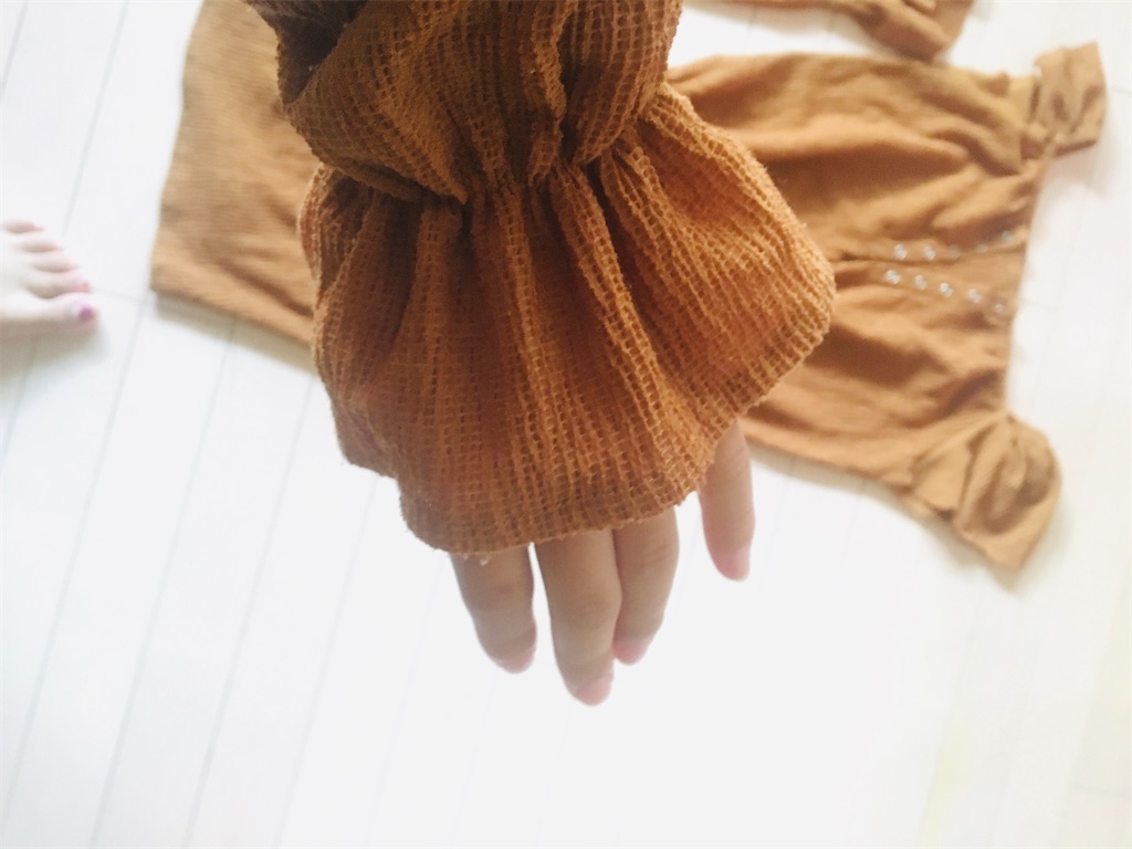 f:id:r_r_apples:20201016204012j:image