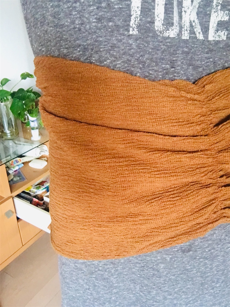 f:id:r_r_apples:20201016204124j:image