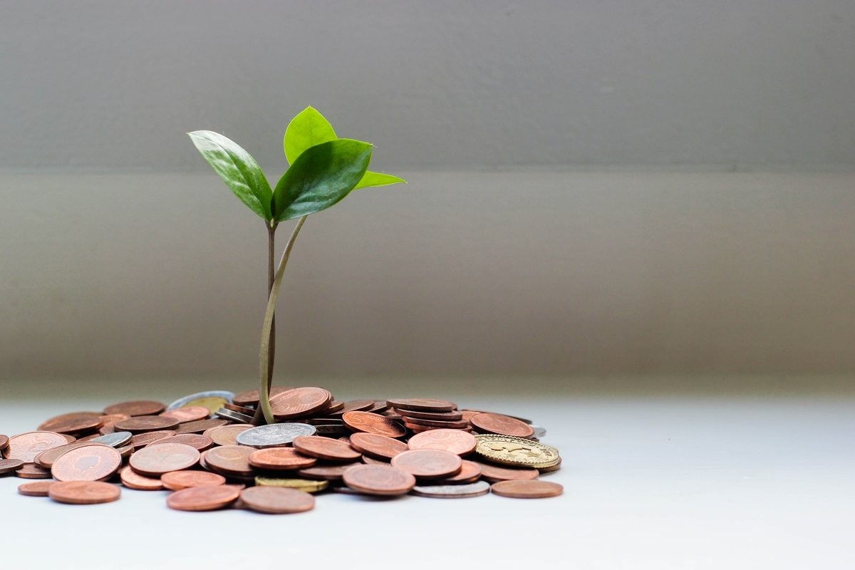 money, tree