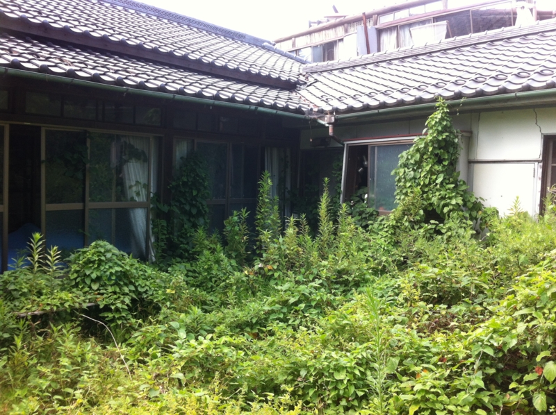 f:id:r_shineha:20130819140904j:image f:id:r_shineha:20130819140904j:image