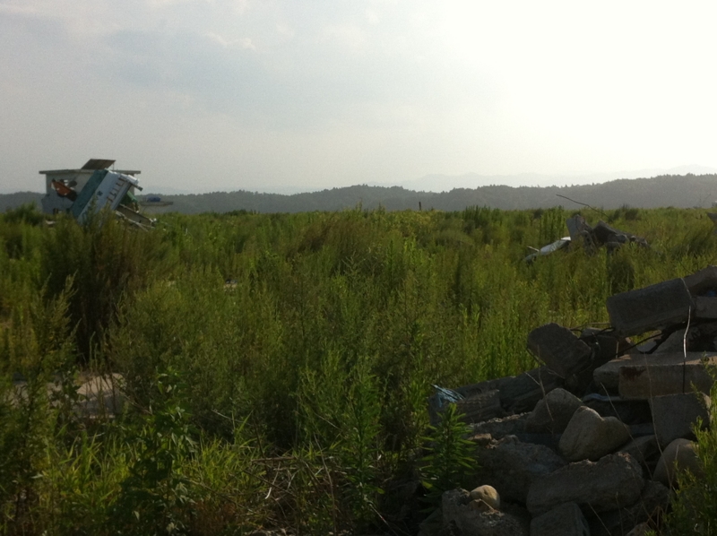 f:id:r_shineha:20130819154708j:image f:id:r_shineha:20130819154708j:image