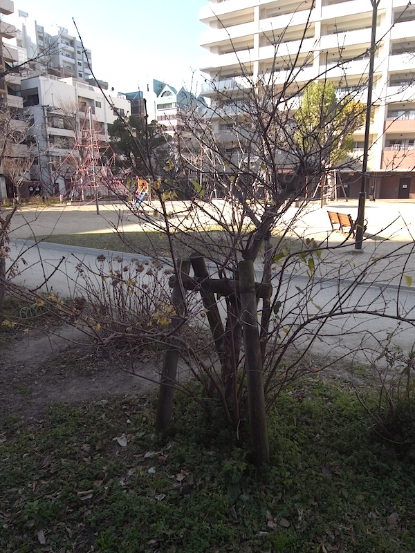 f:id:r_u_n:20200123201233j:plain f:id:r_u_n:20200123201233j:plain