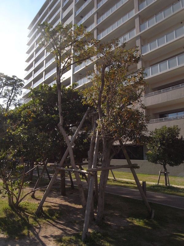 f:id:r_u_n:20201014010143j:plain f:id:r_u_n:20201014010143j:plain