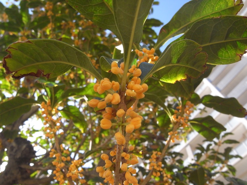 f:id:r_u_n:20201014010204j:plain f:id:r_u_n:20201014010204j:plain