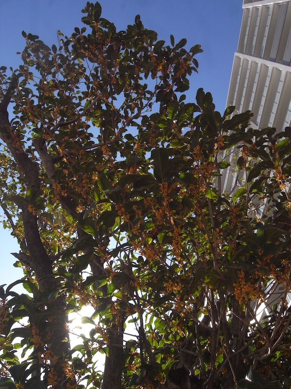 f:id:r_u_n:20201014010532j:plain