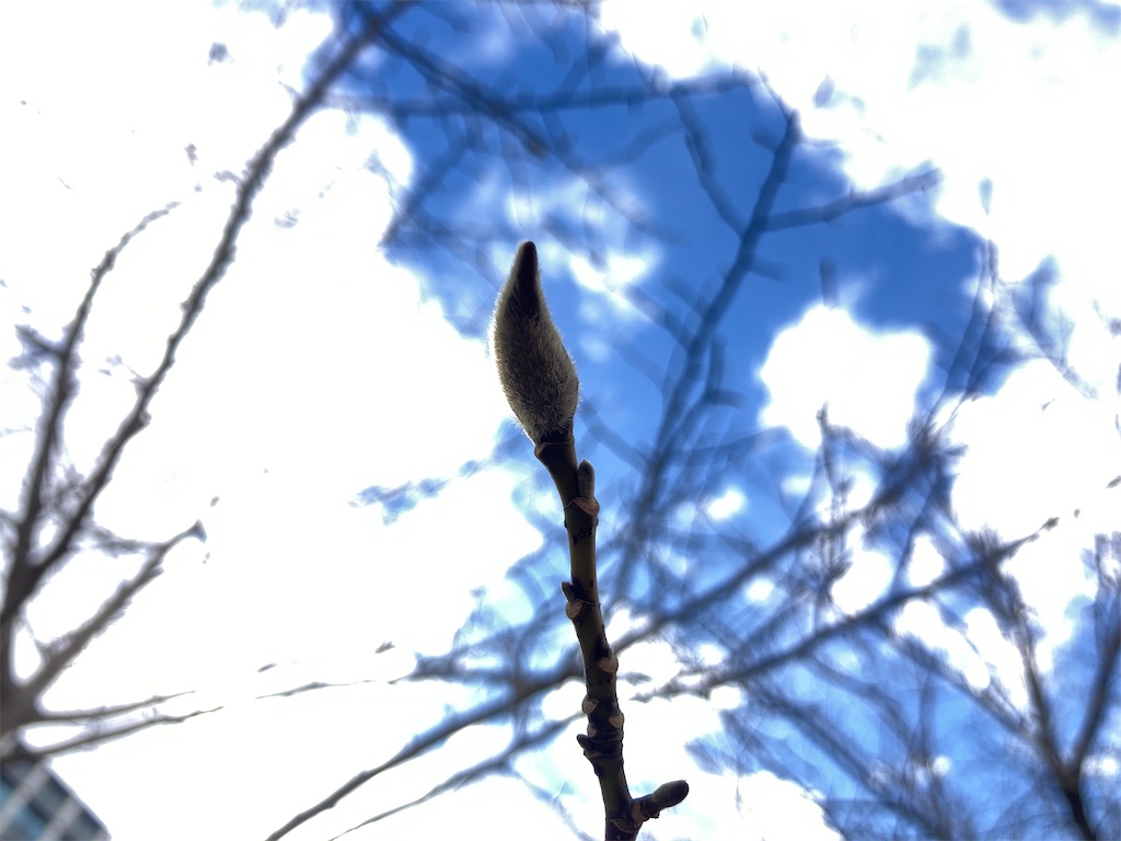 f:id:r_u_n:20250111215347j:image f:id:r_u_n:20250111215347j:image