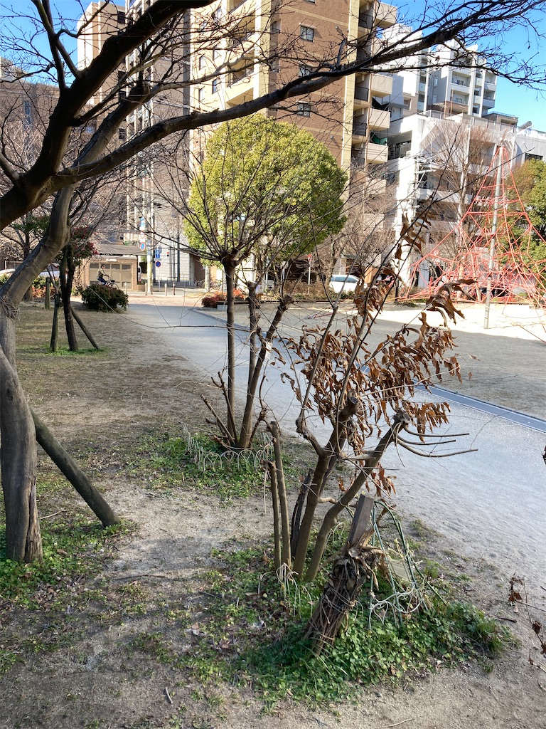 f:id:r_u_n:20250225221729j:image