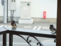 20100504020045