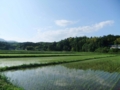 20100531000820