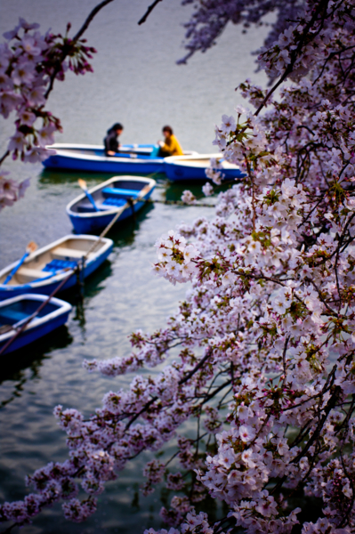 f:id:ra-men_koike:20120407134234j:image