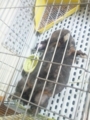 20120905194434