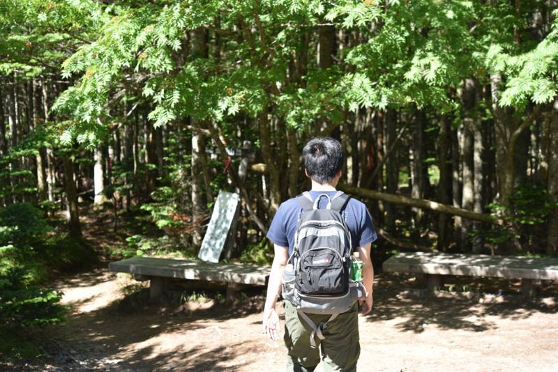 f:id:rabbit102mt:20180723204242j:plain