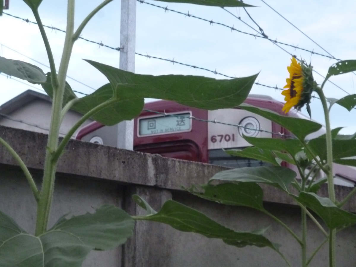 f:id:rabbitcar6800:20200716061608j:plain f:id:rabbitcar6800:20200716061608j:plain