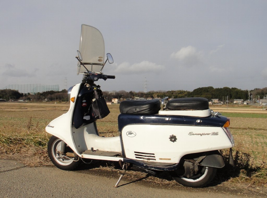 f:id:rabbits301:20170115184508j:plain