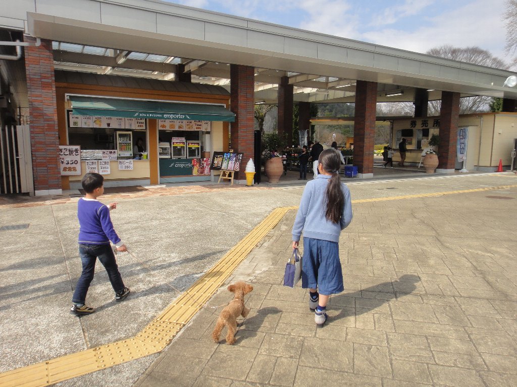 f:id:rabbits301:20170331094454j:plain