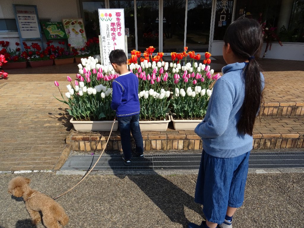 f:id:rabbits301:20170331094508j:plain