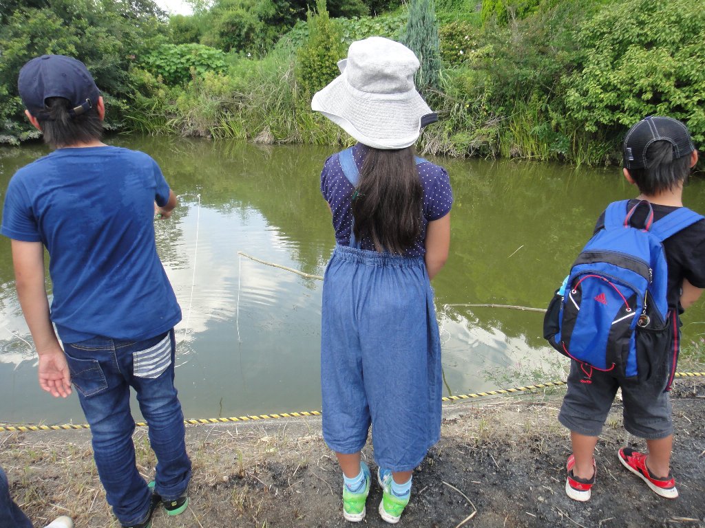 f:id:rabbits301:20171228085746j:plain