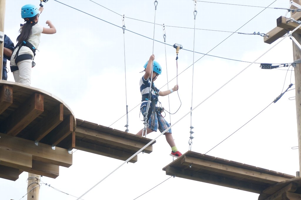 f:id:rabbits301:20171228085837j:plain