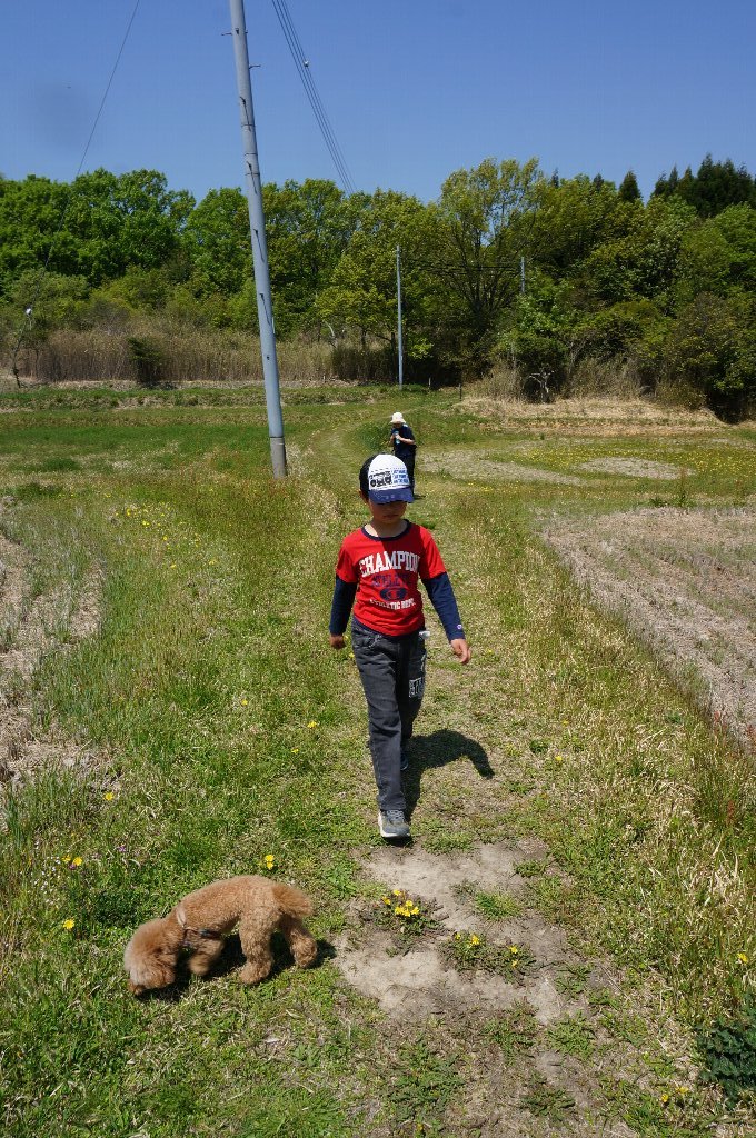 f:id:rabbits301:20180423213946j:plain