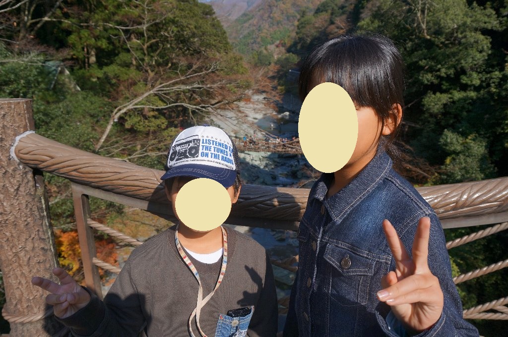 f:id:rabbits301:20181120155210j:plain