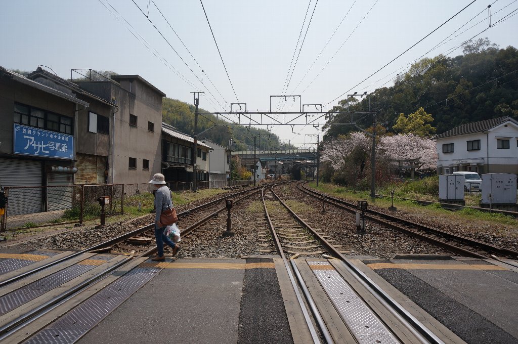 f:id:rabbits301:20190414211237j:plain