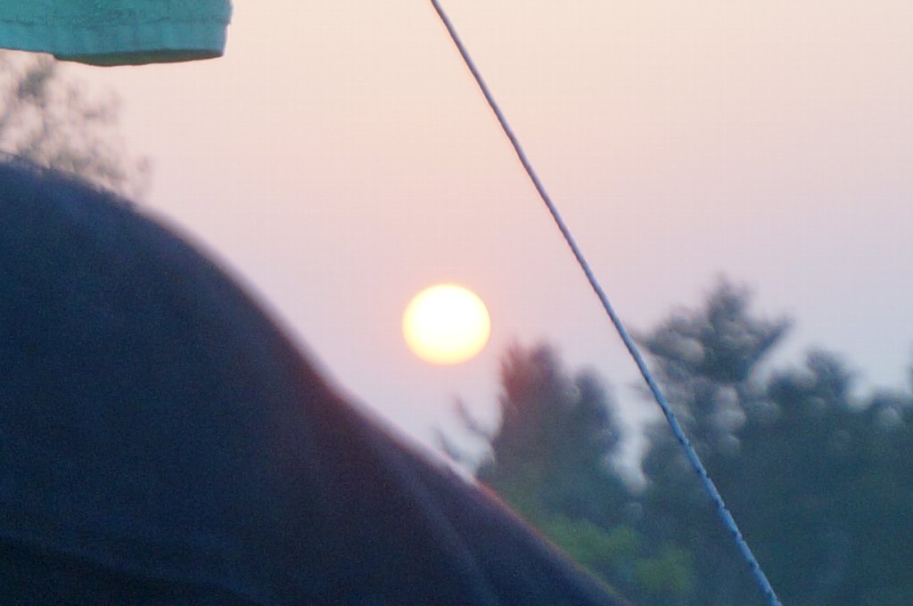 f:id:rabbits301:20190506203323j:plain