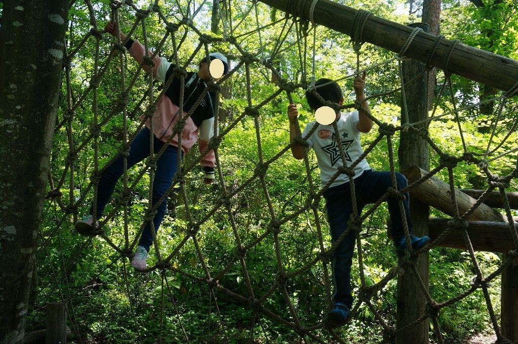 f:id:rabbits301:20190512063154j:plain