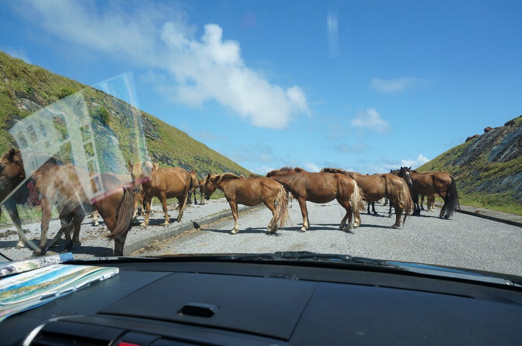 f:id:rabbits301:20190903213535j:plain