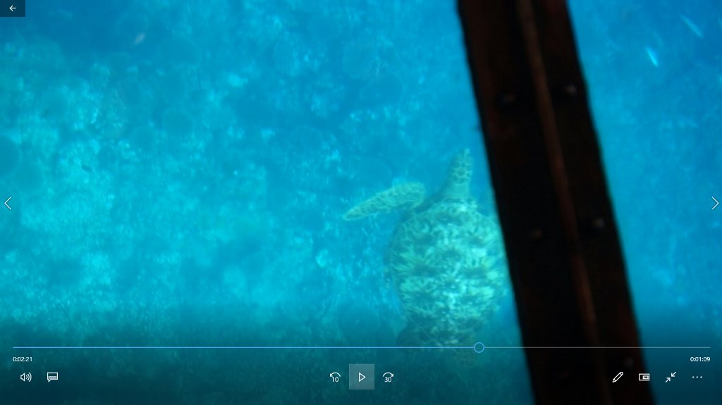 f:id:rabbits301:20190904215321j:plain f:id:rabbits301:20190904215321j:plain