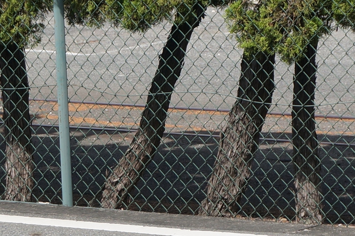 f:id:rabbits301:20200928222328j:plain f:id:rabbits301:20200928222328j:plain