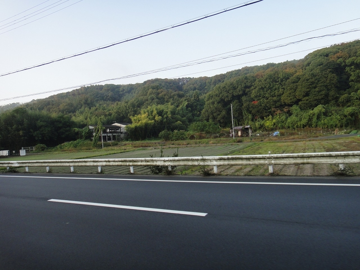 f:id:rabbits301:20201117213021j:plain