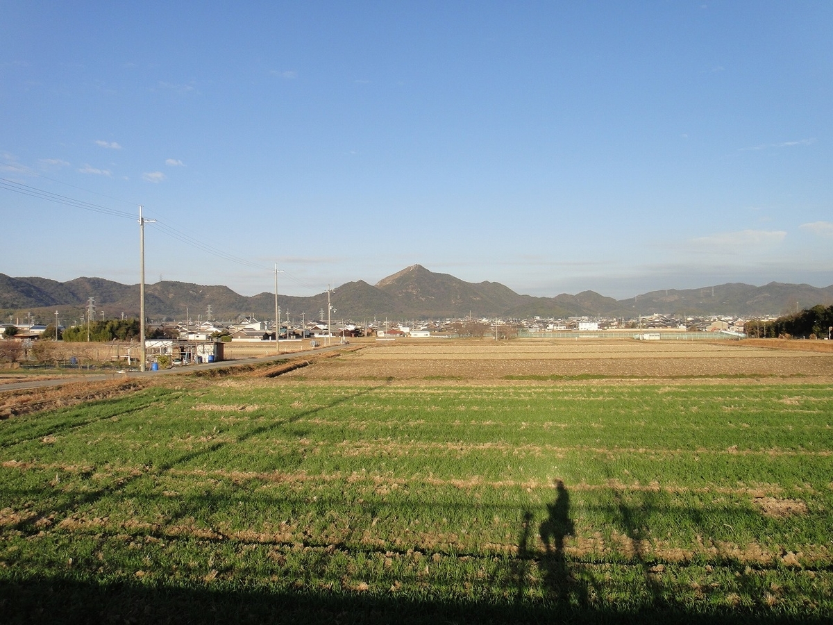 f:id:rabbits301:20210214204849j:plain