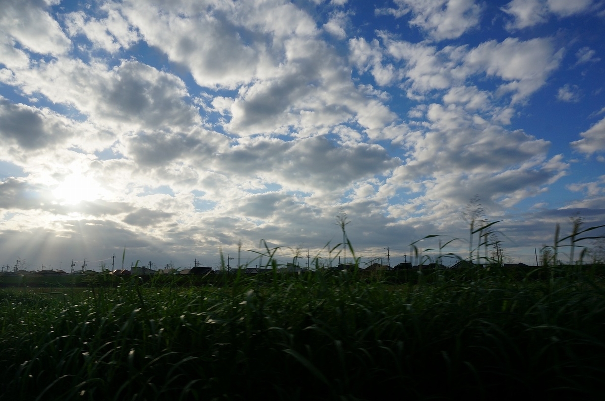 f:id:rabbits301:20210925220655j:plain