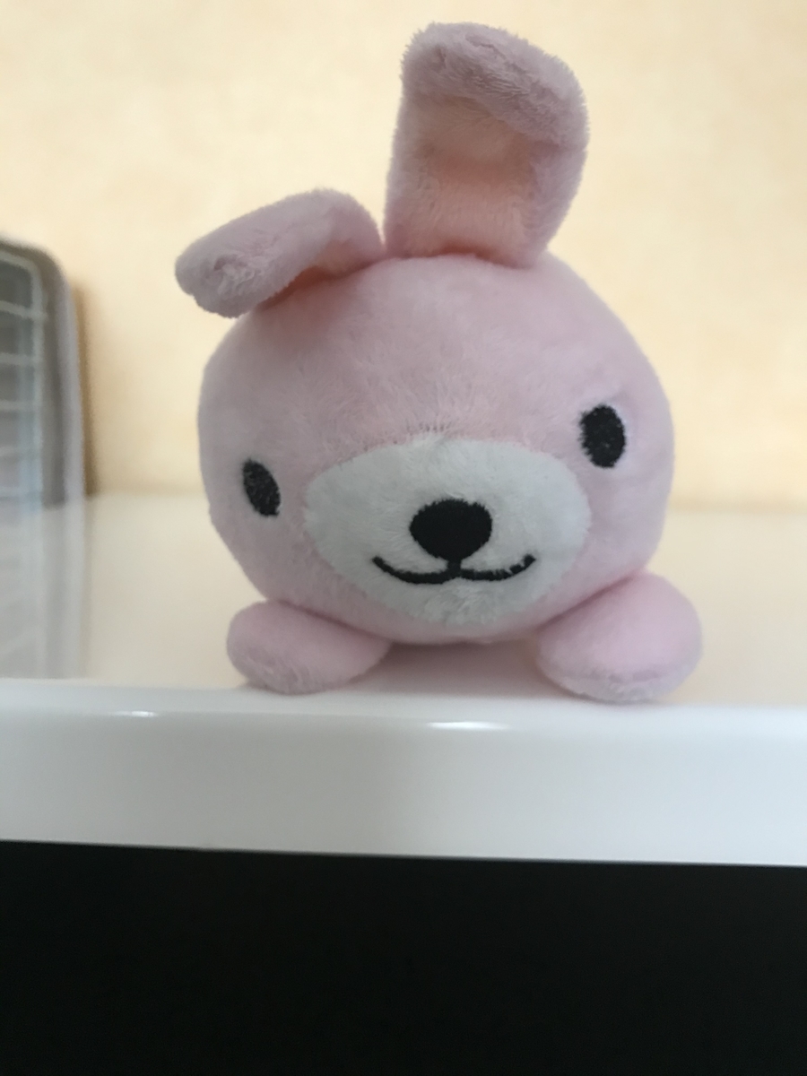 f:id:rabbittail-ko:20200510122840j:plain