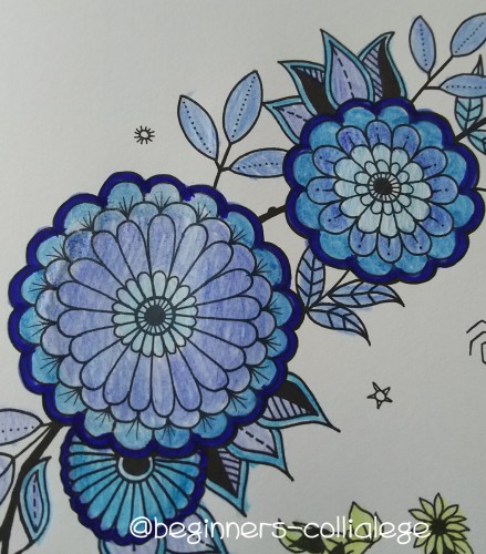 ひみつの花園 表紙を塗る 大人の塗り絵 誰でも最初は初心者 ひみつの花園 表紙を塗る 大人の塗り絵 誰でも最初は初心者