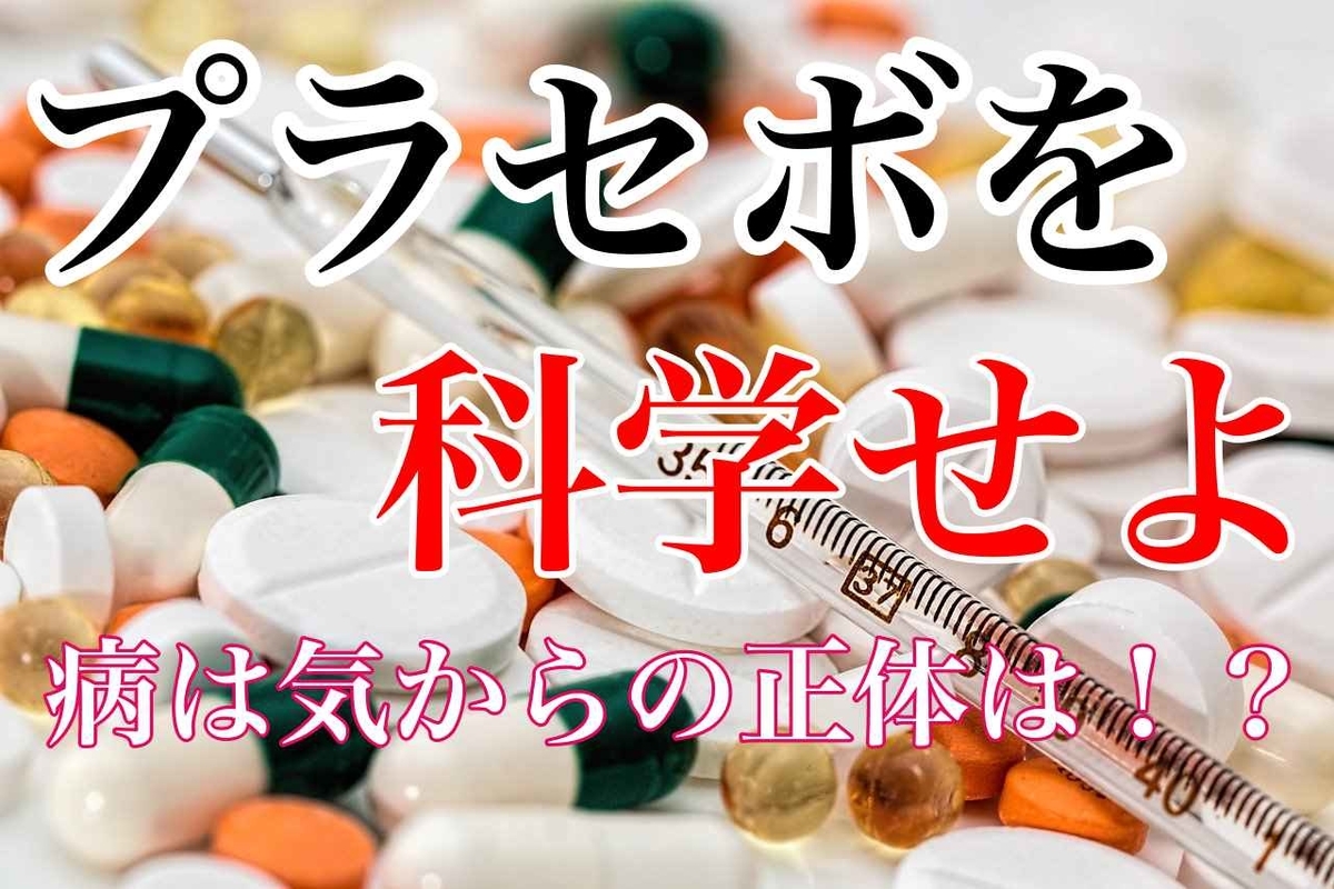 f:id:rabichange:20200201104814j:plain