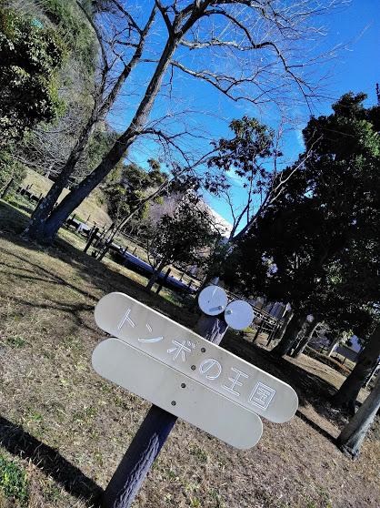 追浜 トンボの王国に行ってきた 横須賀 子連れ 遊び場 らびちょこのちょっと得する子育てブログ