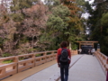 20110225113408