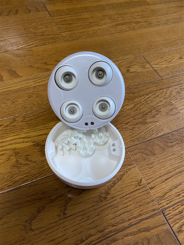 f:id:rachmanist:20211212160120j:image