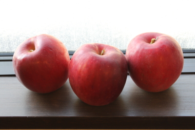 f:id:racine:20111007090503j:image f:id:racine:20111007090503j:image