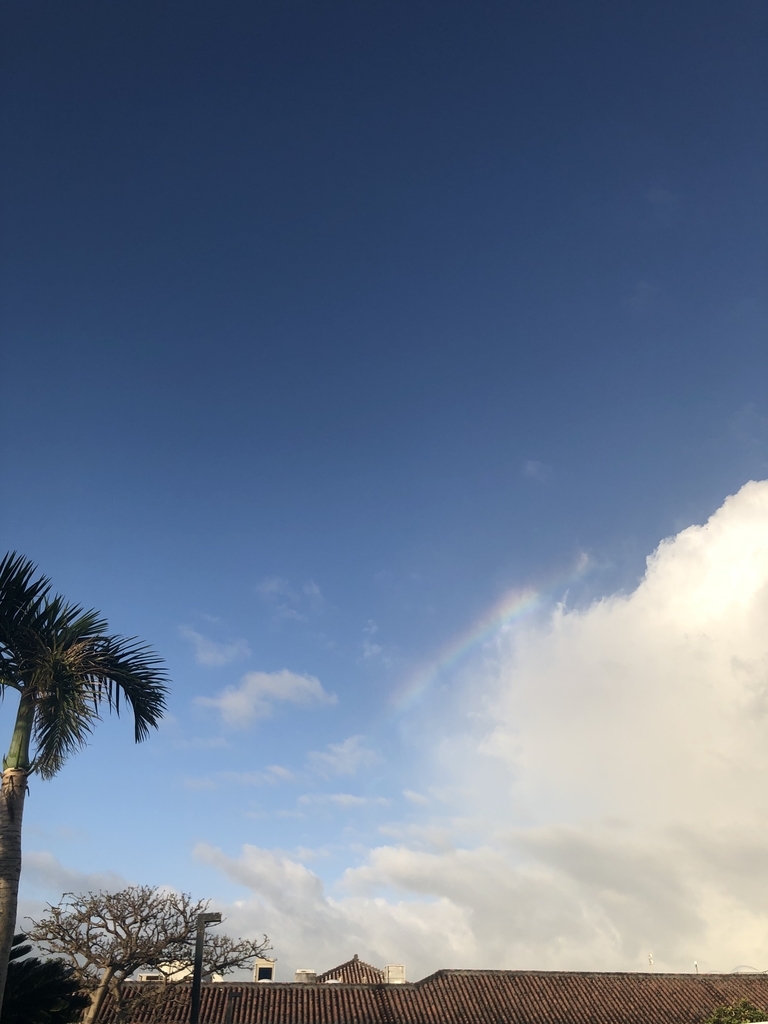 f:id:racinvan-kaze:20190227172149j:plain