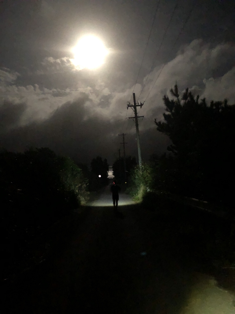 f:id:racinvan-kaze:20190227172357j:plain