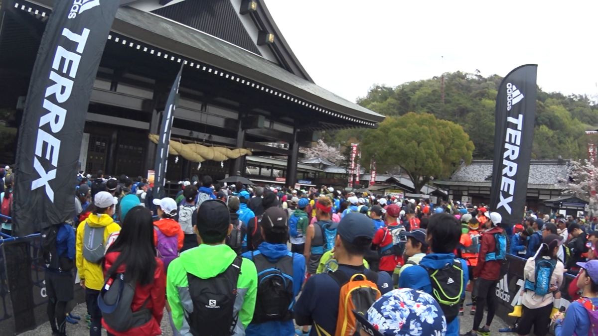 f:id:racinvan-kaze:20190515135251p:plain